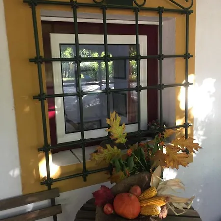 Çiftlik konaklama Quinta Do Troviscal Castelo do Bode