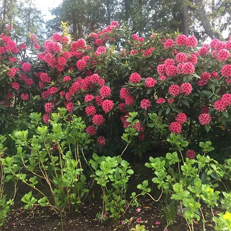 Gospodarstwo agroturystyczne Quinta Do Troviscal *