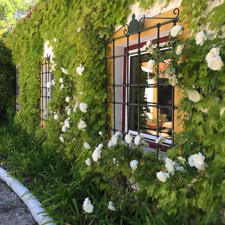 Çiftlik konaklama Quinta Do Troviscal Castelo do Bode