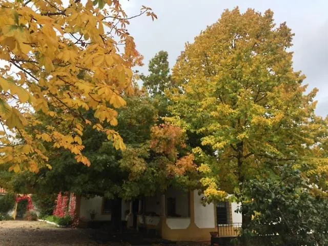 مزرعة للإقامة Quinta Do Troviscal كاستيلو دو بودي