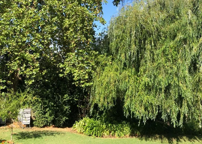 Quinta Do Troviscal Castelo do Bode