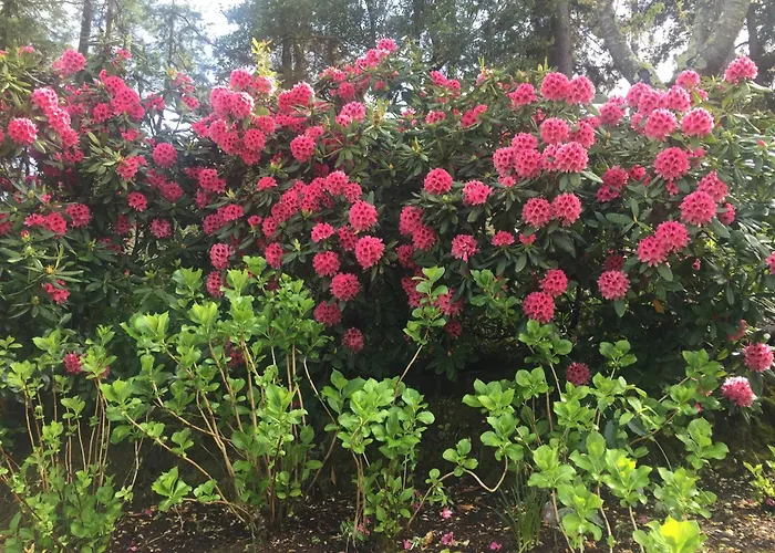 Vakantieboerderij Quinta Do Troviscal *