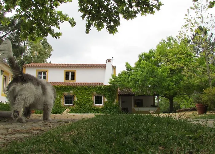 Quinta Do Troviscal * Castelo do Bode