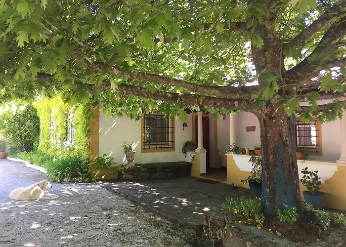 مزرعة للإقامة Quinta Do Troviscal *