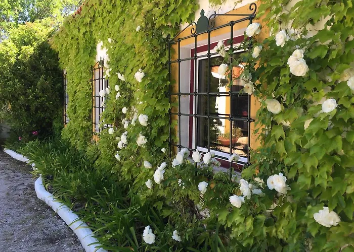 Farm stay Quinta Do Troviscal Castelo do Bode